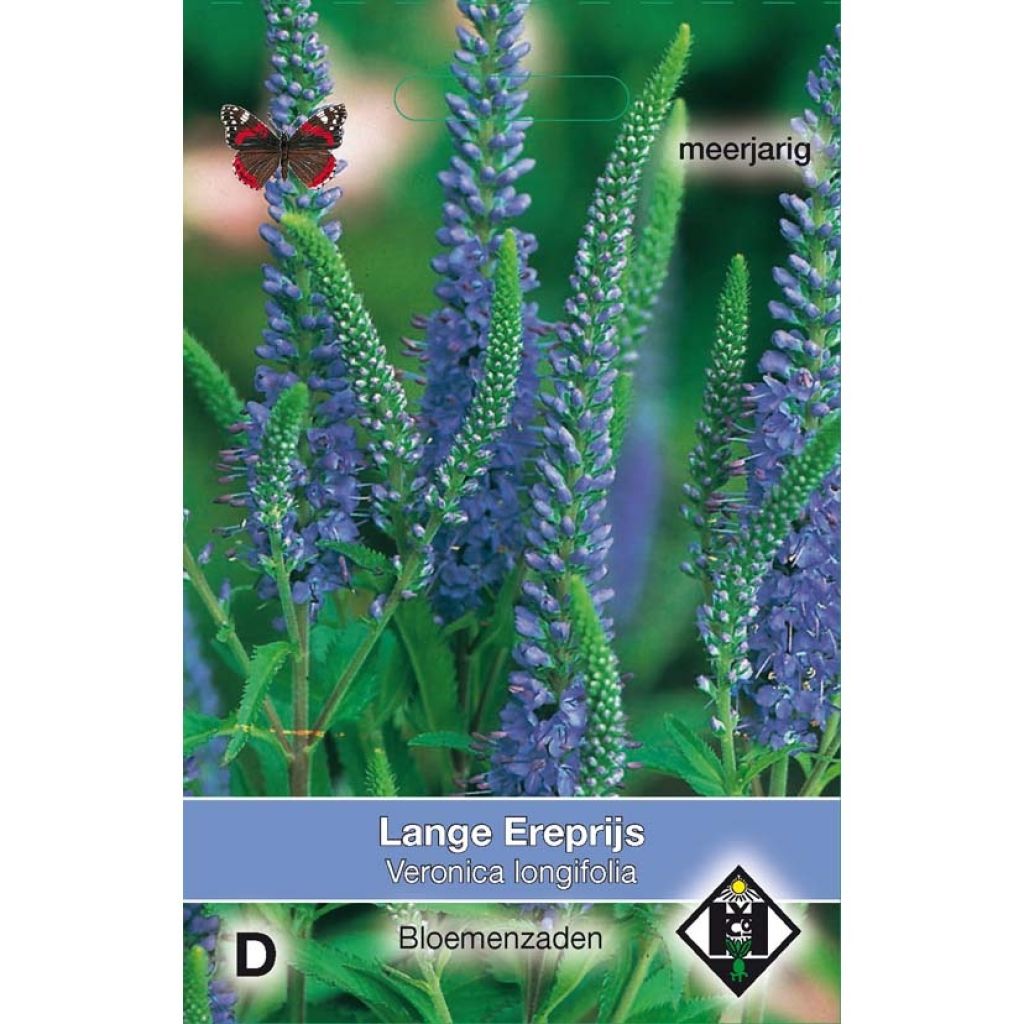 Langblättriger Ehrenpreis (Samen) - Veronica longifolia