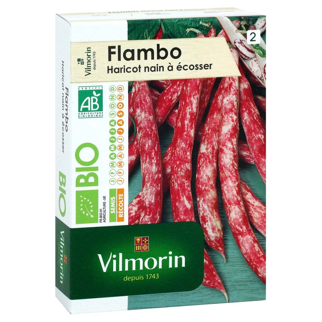 Zwergbohne Flambo Bio - Vilmorin