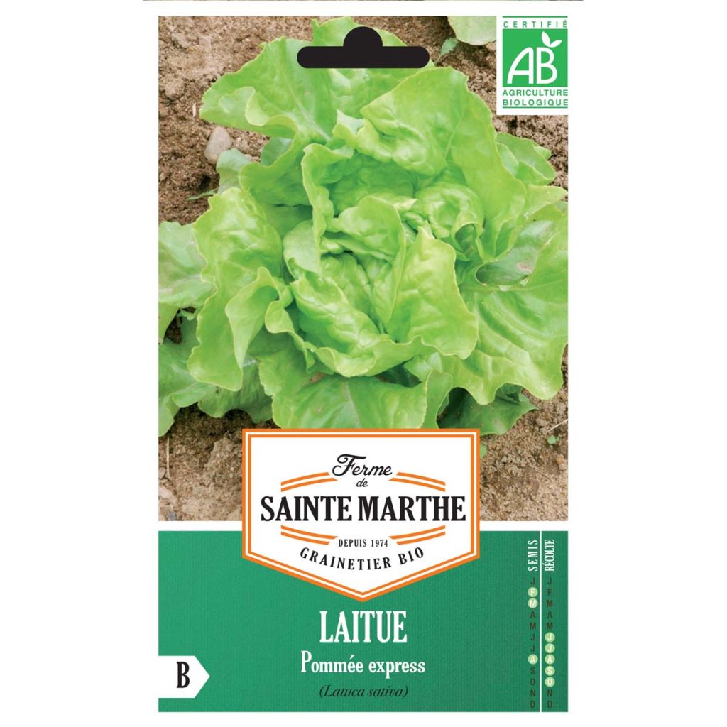 Kopfsalat Express Bio - Ferme de Sainte Marthe