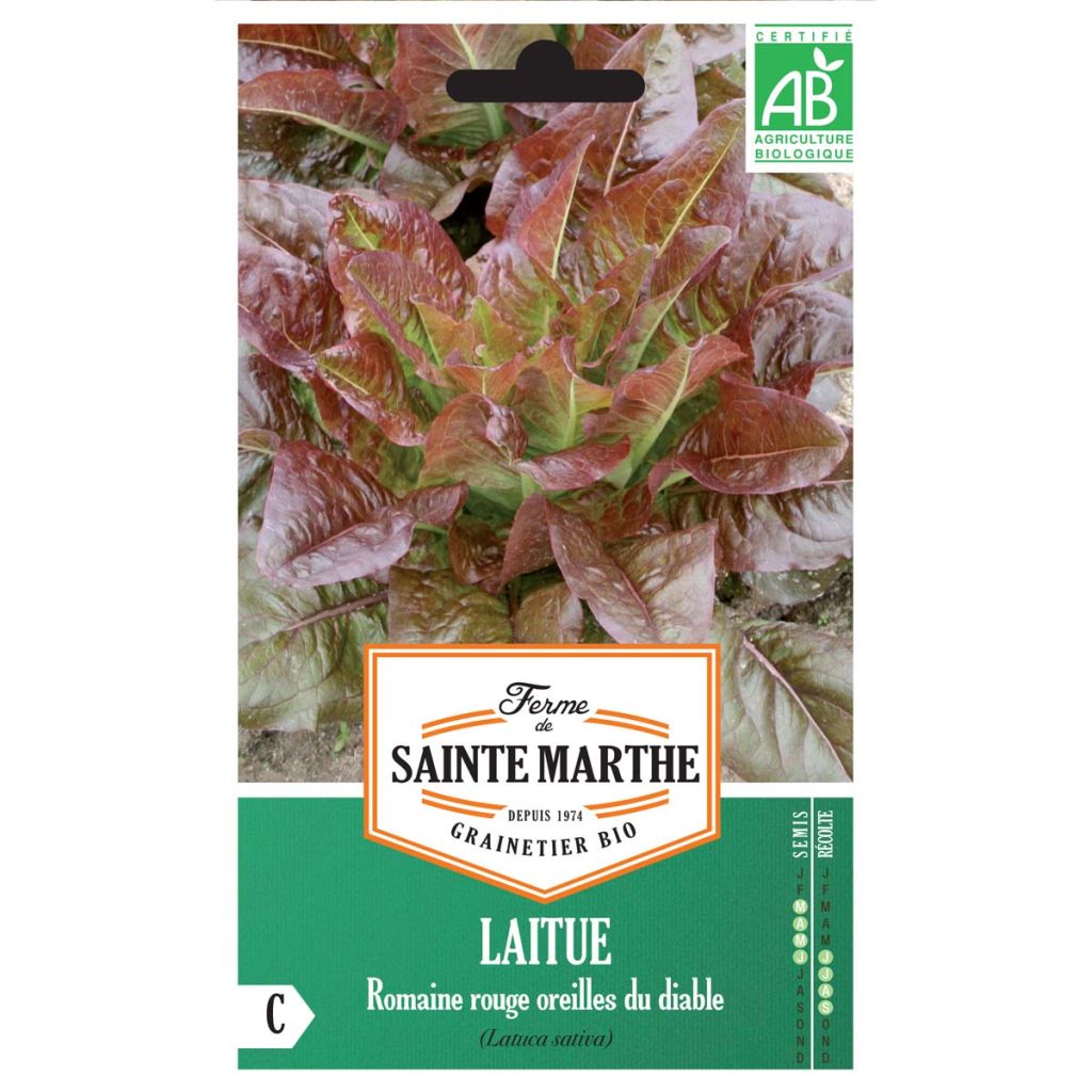 Laitue Romaine Rouge Oreilles du Diable Bio - Ferme de Sainte Marthe