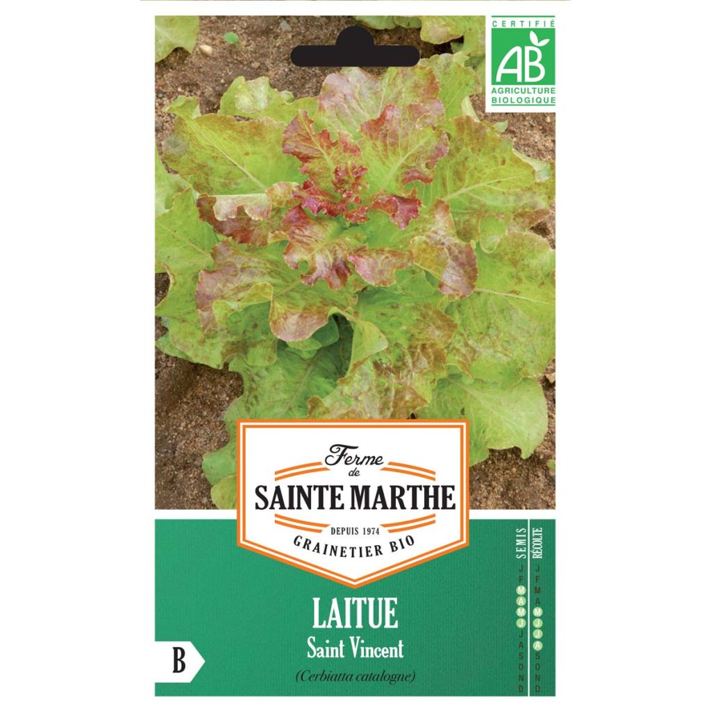 Schnittsalat Saint Vincent Bio - Ferme de Sainte Marthe