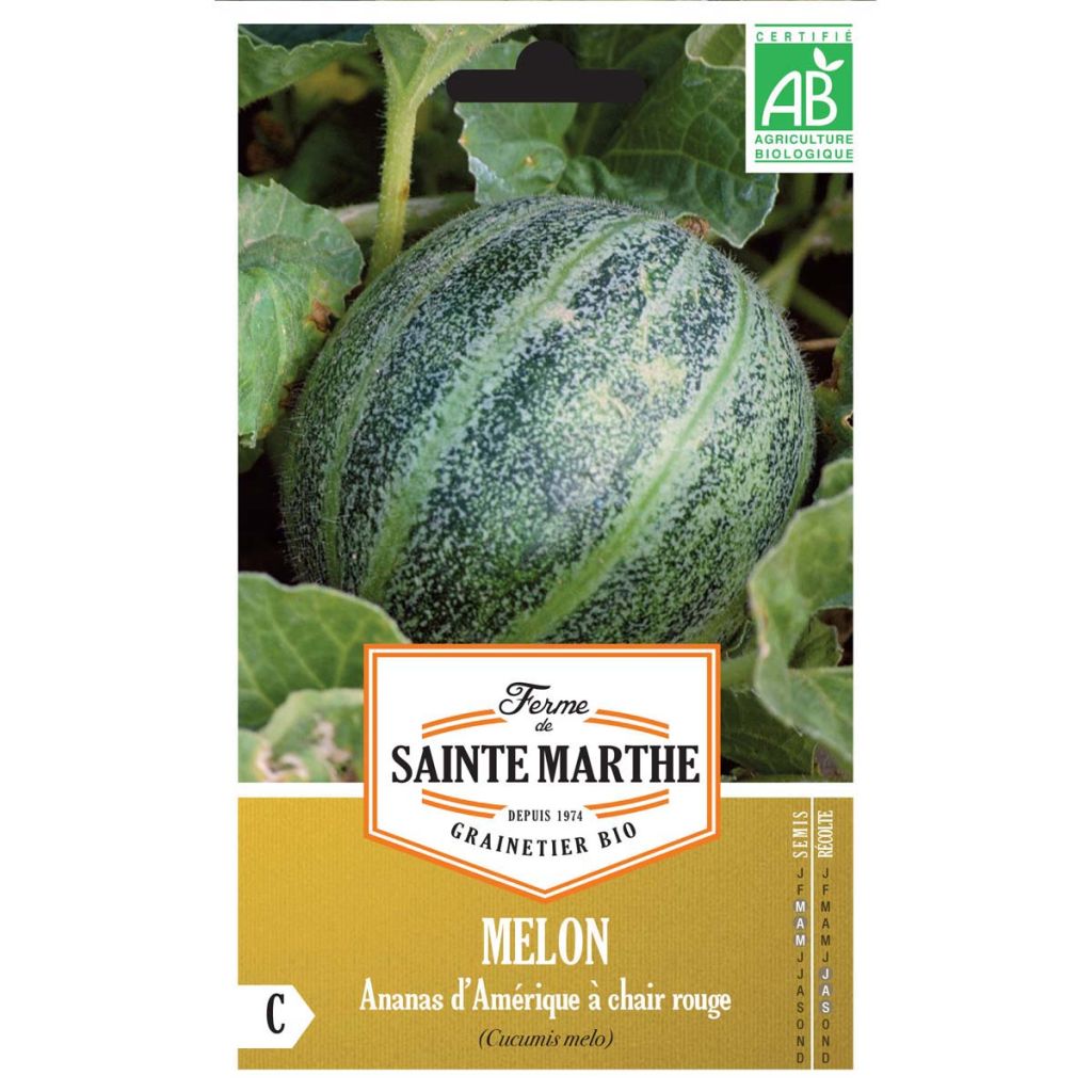 Melone Ananas d'Amérique Bio - Ferme de Sainte Marthe