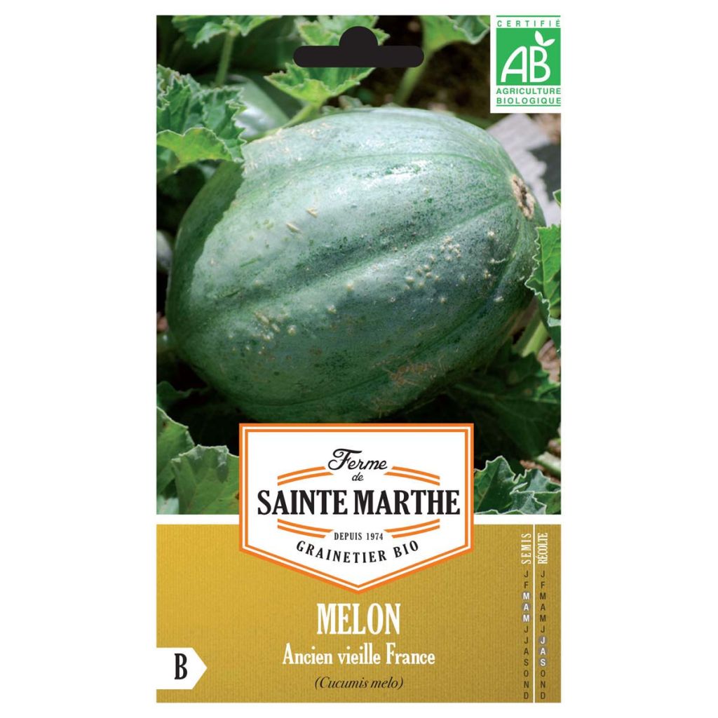 Melone Ancien Vieille France Bio - Ferme de Sainte Marthe