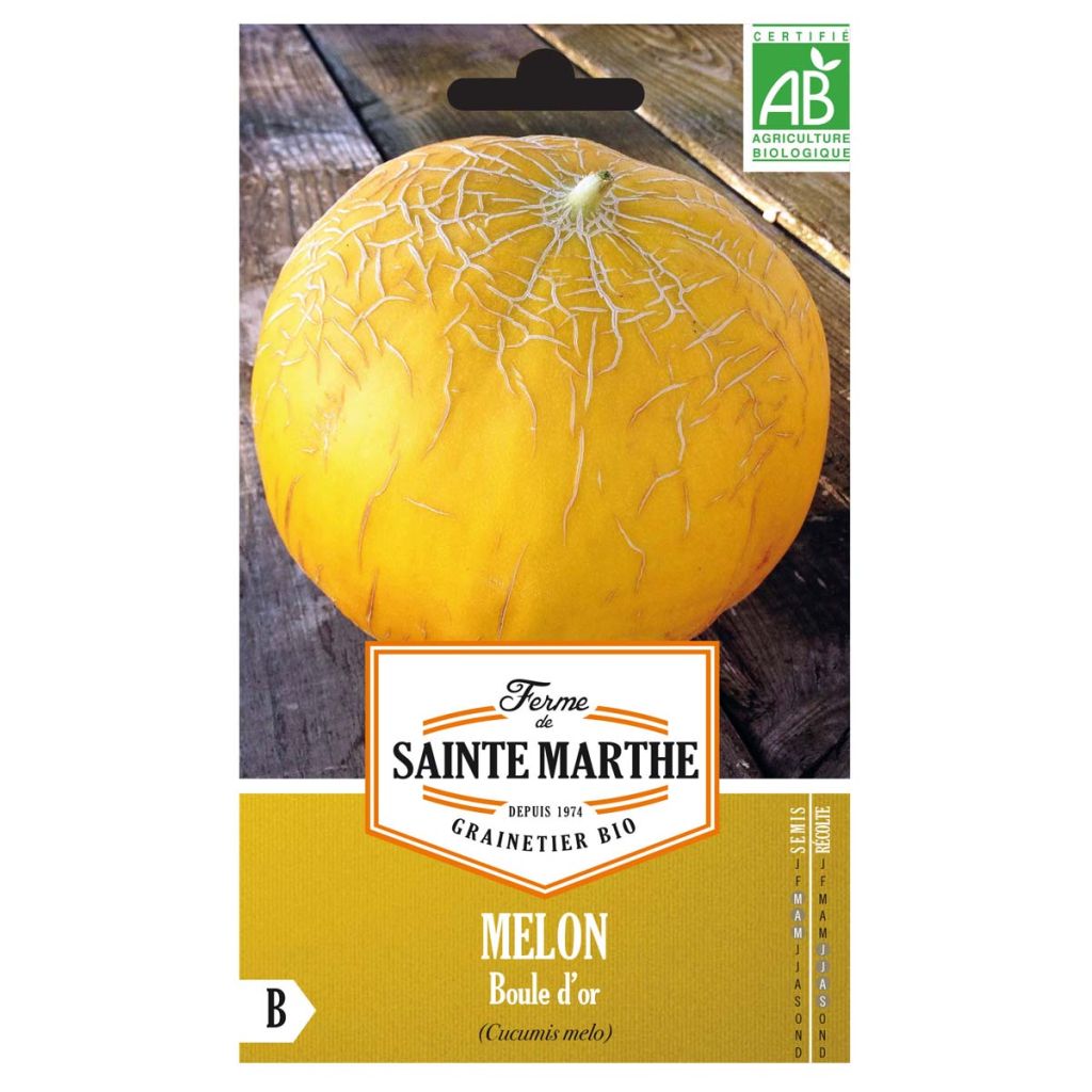 Melone Boule d'Or Bio - Ferme de Sainte Marthe