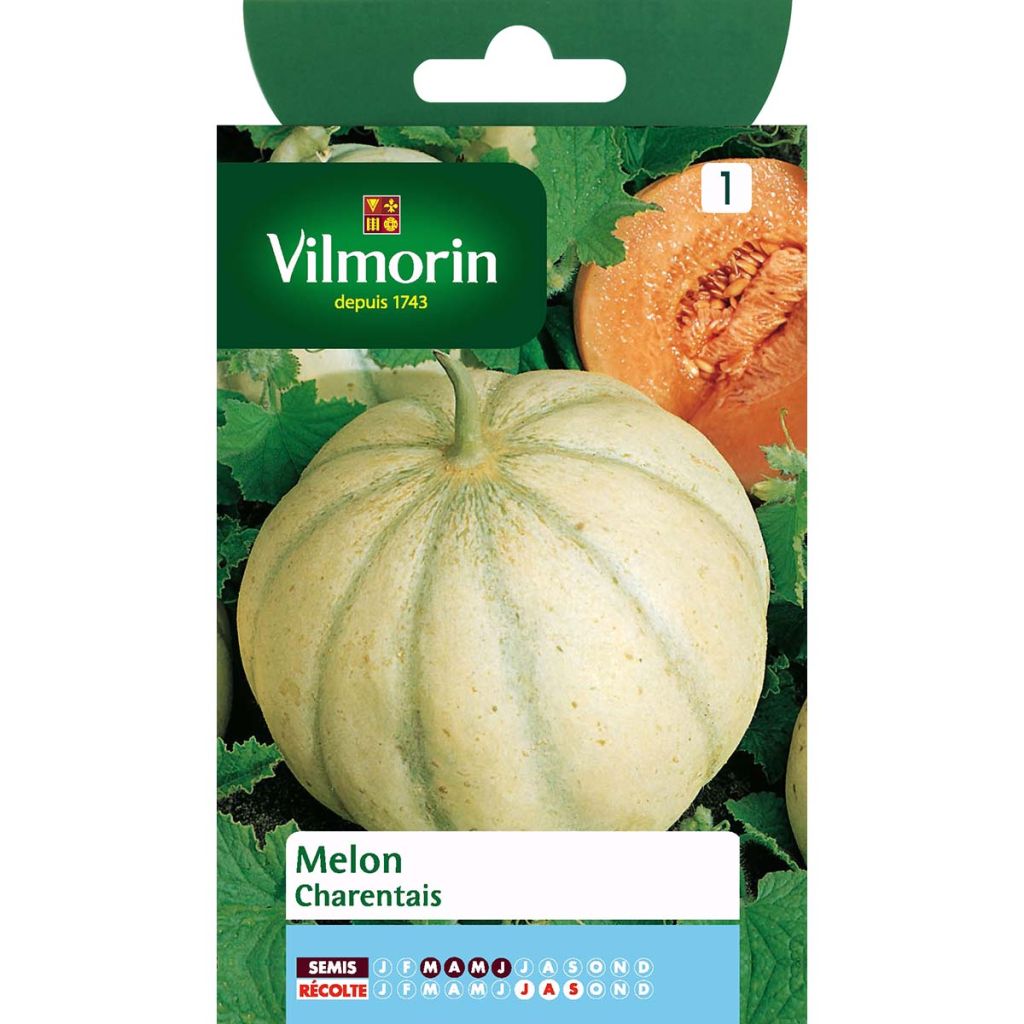 Melone Charentais - Vilmorin