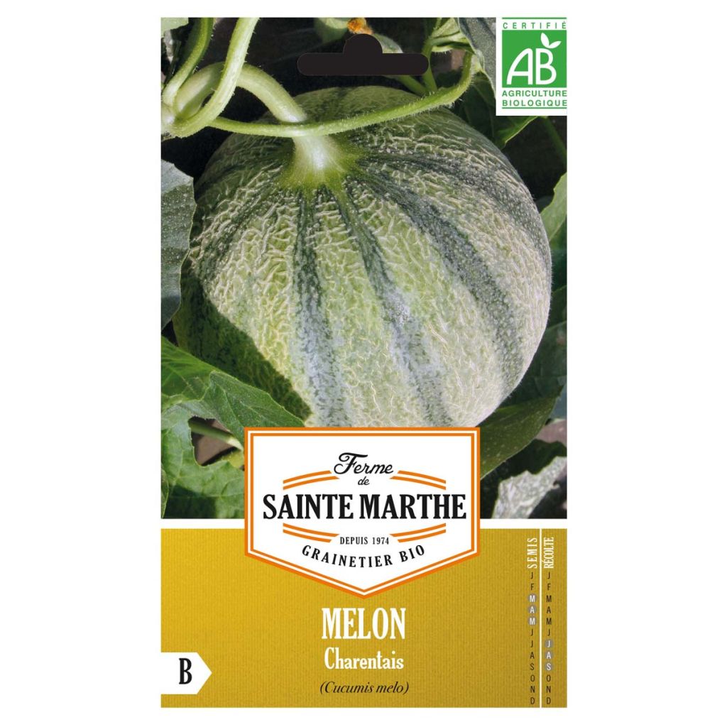 Melone Charentais Bio - Ferme de Sainte Marthe