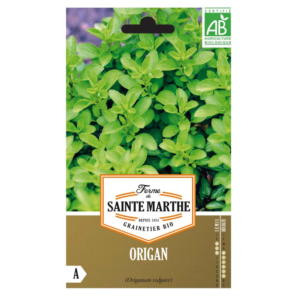 Gewöhnlicher Dost Bio - Ferme de Sainte Marthe - Origanum vulgare