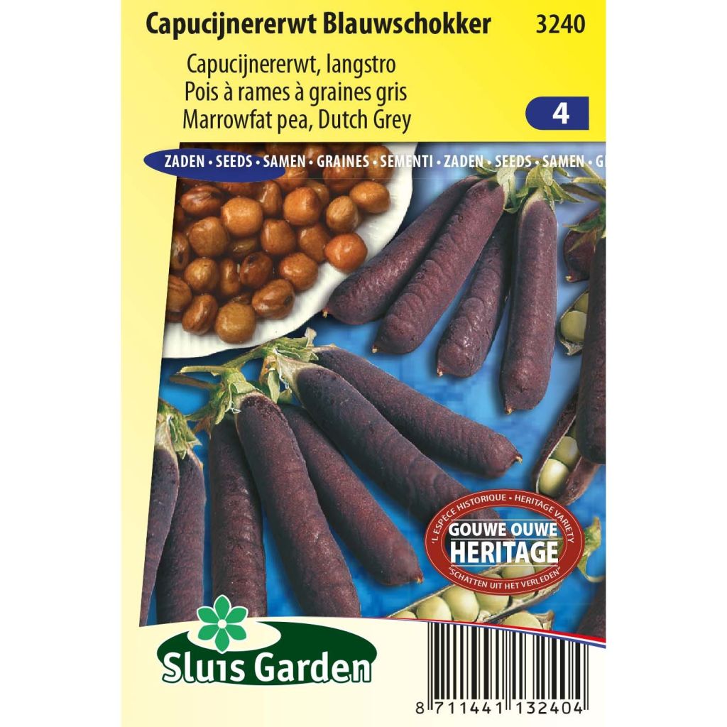 Riesige Erbse Blauwschokker