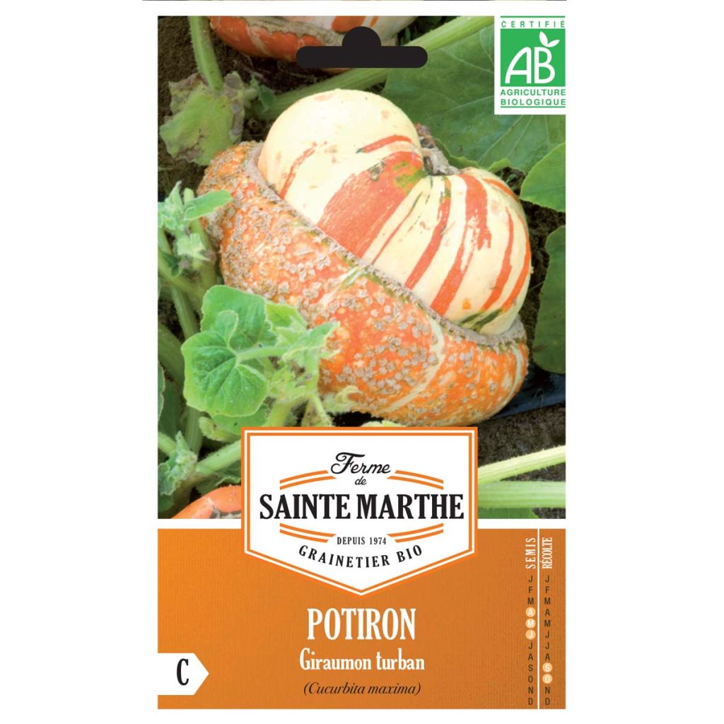 Riesen-Kürbis Giraumon Turban Bio - Ferme de Sainte Marthe