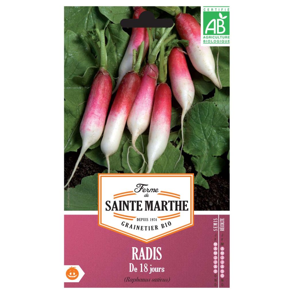 Rettich 18 Tage Bio- Ferme de Sainte Marthe