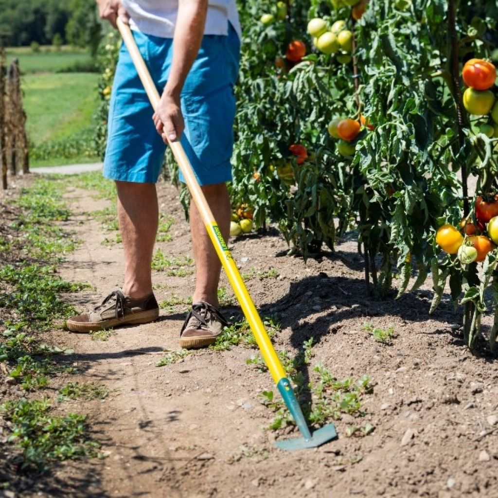 Gartenkralle Leborgne NaturOvert