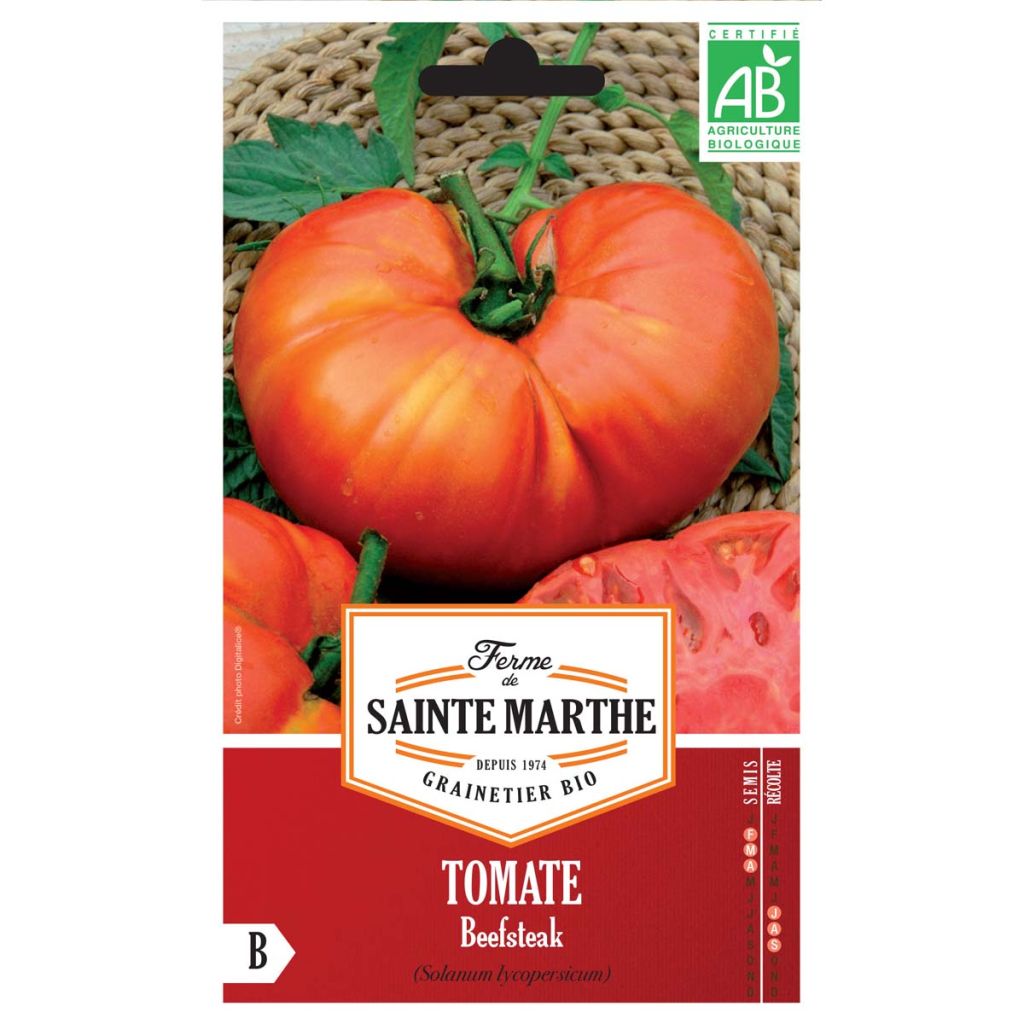 Tomate Beefsteak Bio