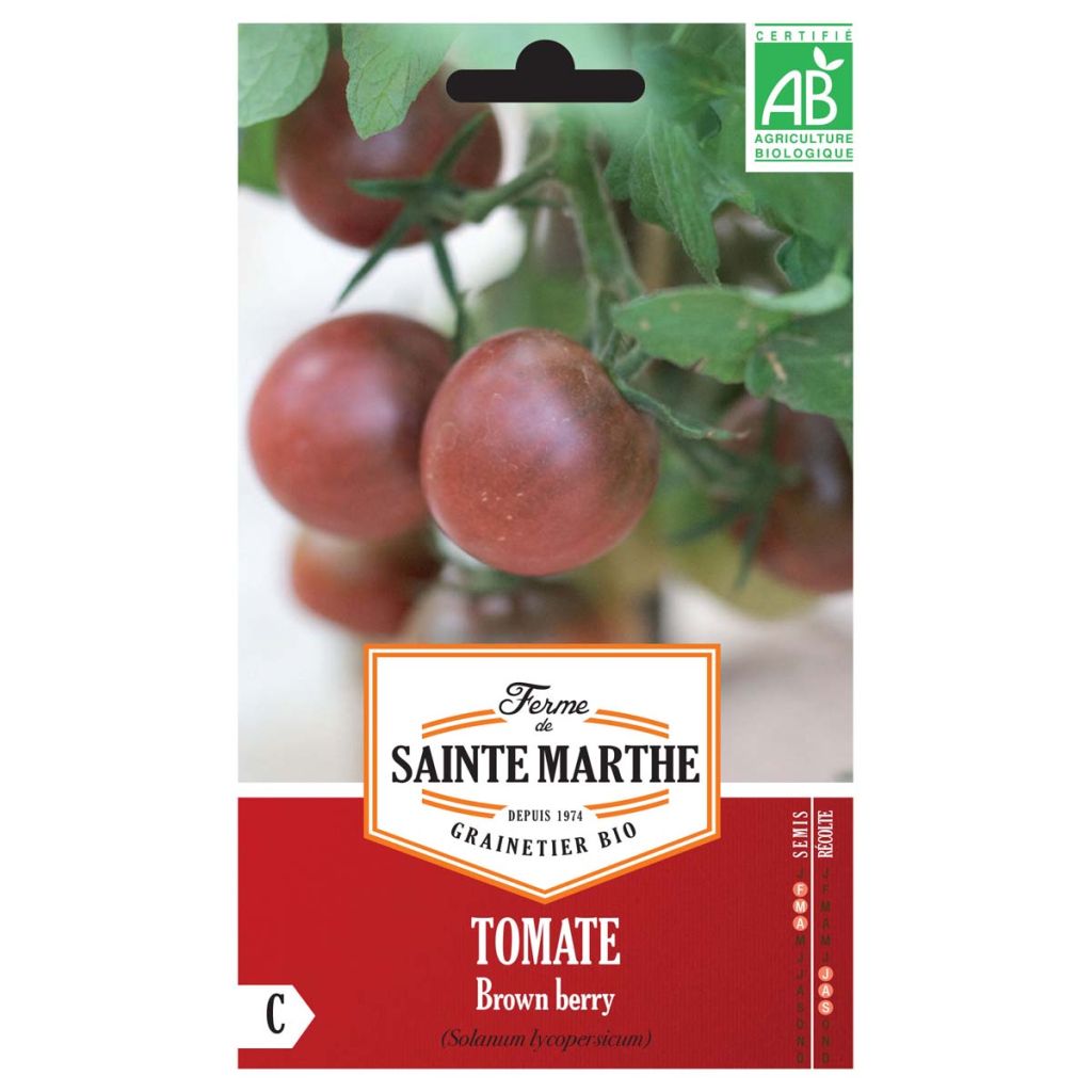 Tomate Brown Berry Bio