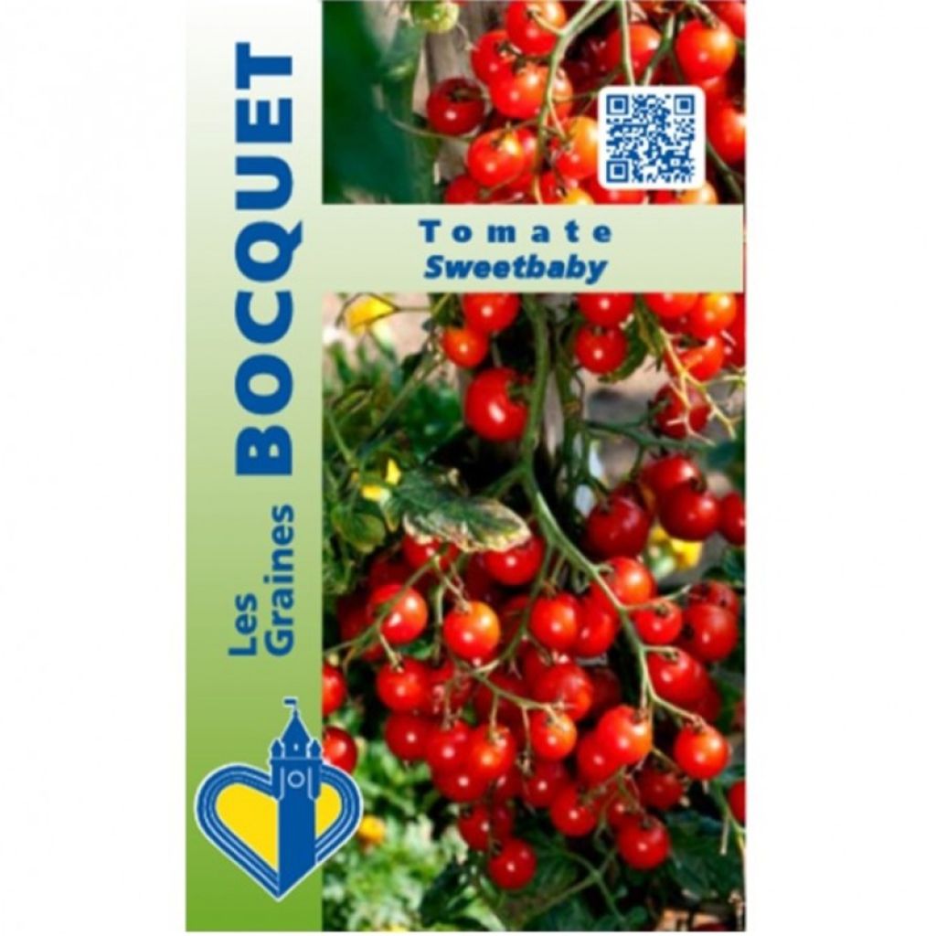 Kirschtomate Sweetbaby - Graines Bocquet