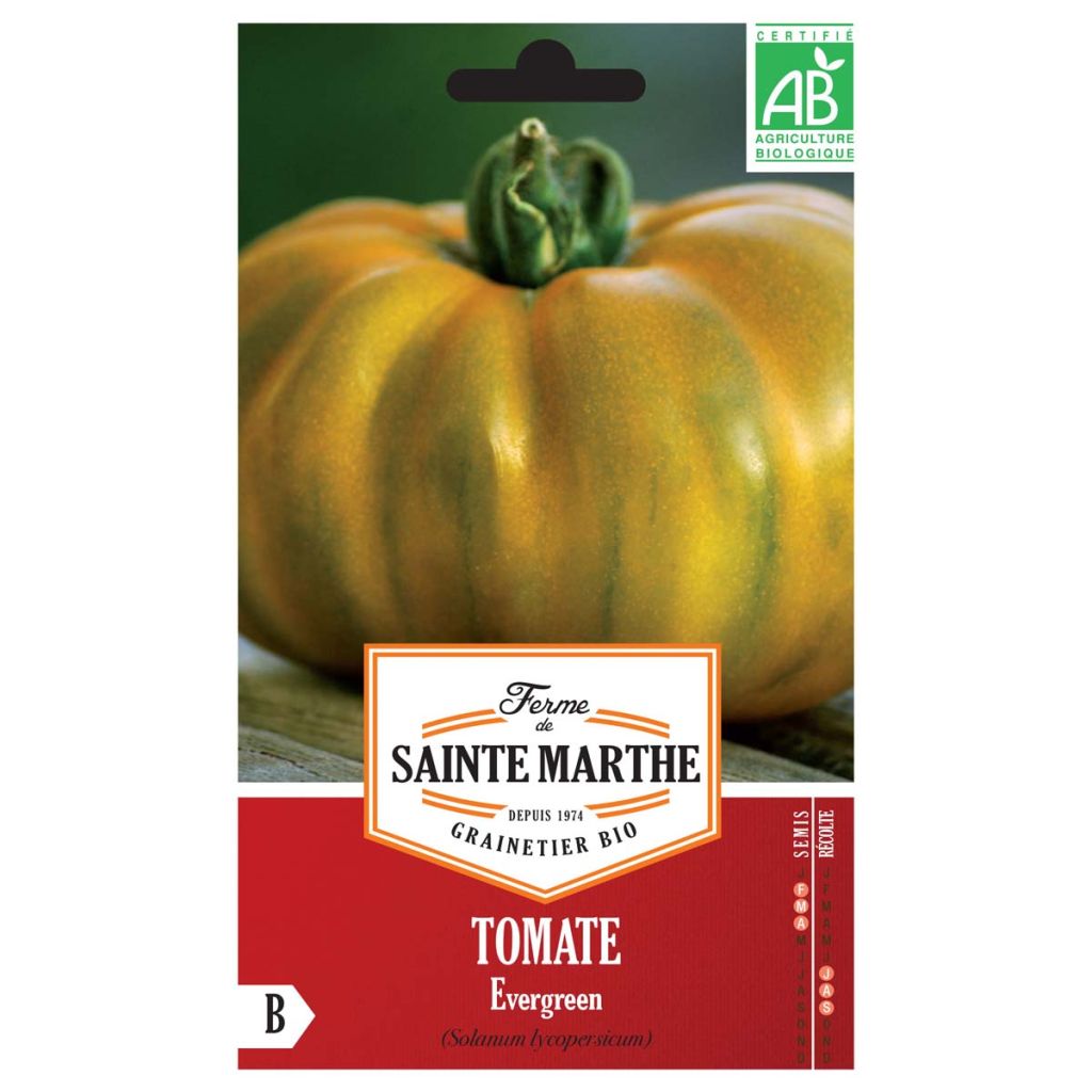 Tomate Evergreen AB - Ferme de Ste Marthe