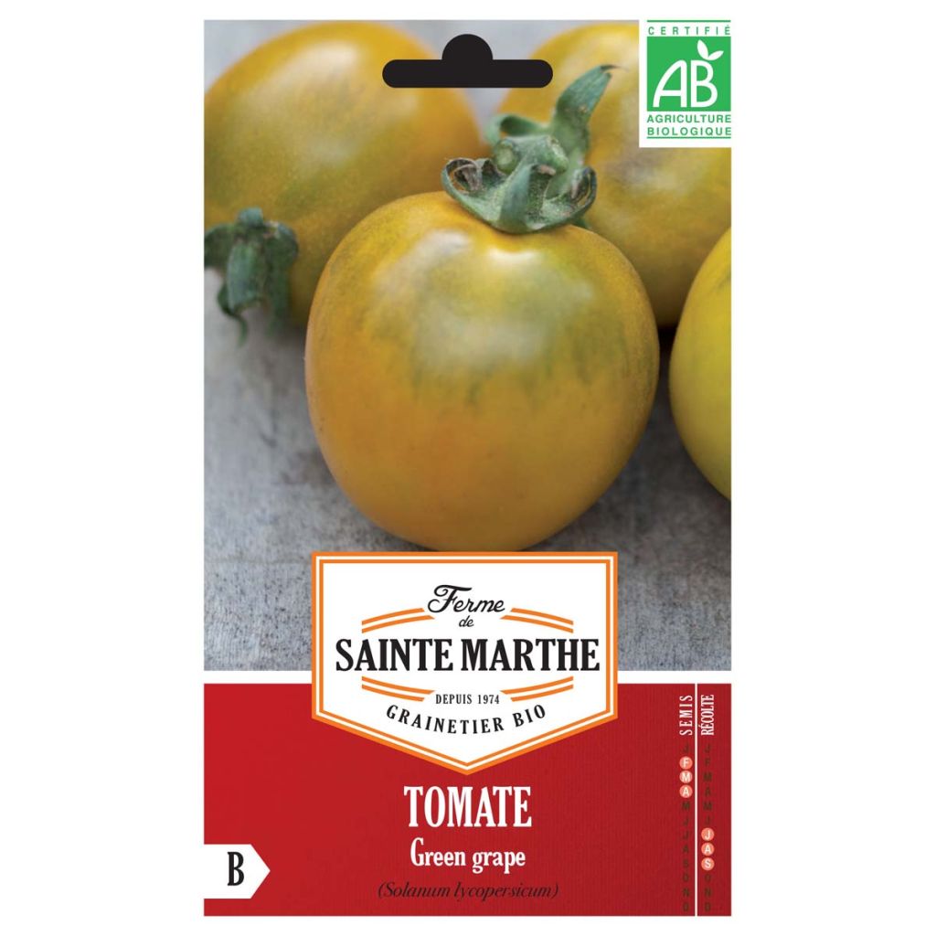 Tomate Green Grape AB - Ferme de Ste Marthe