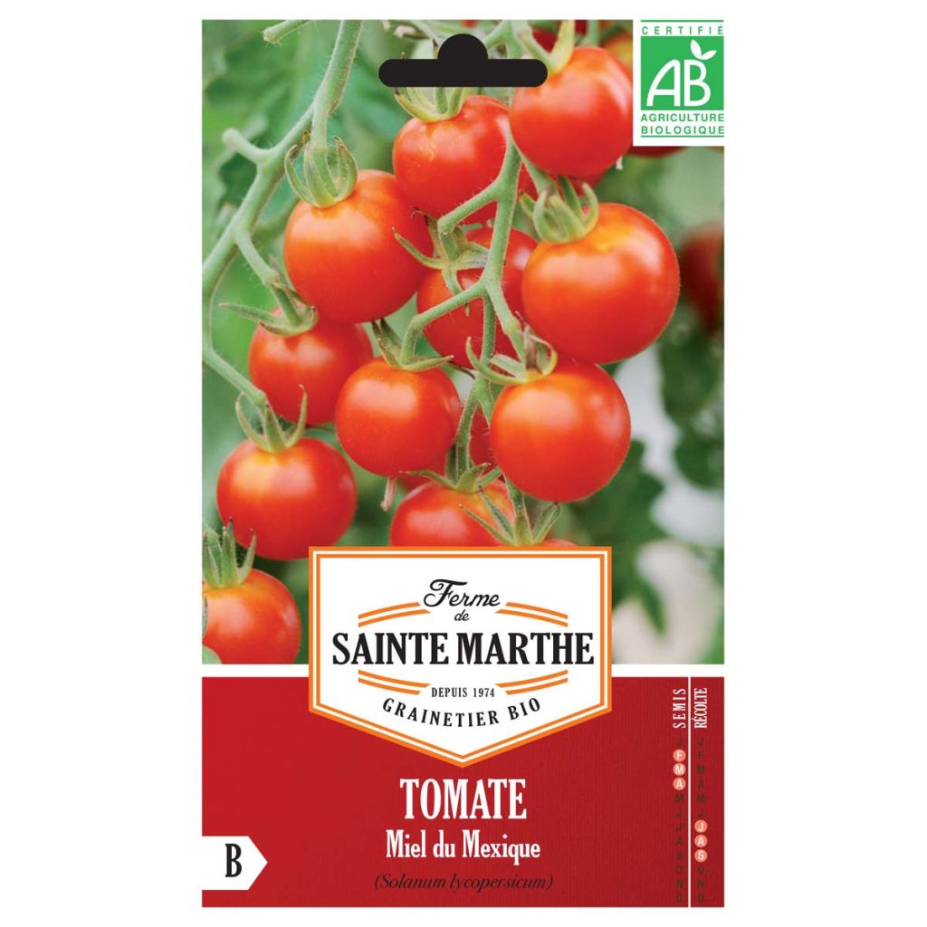 Tomate Miel Du Mexique Bio