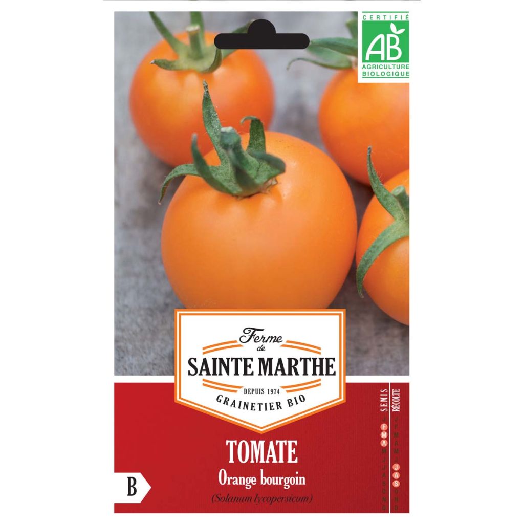 Tomate Orange Bourgoin Bio