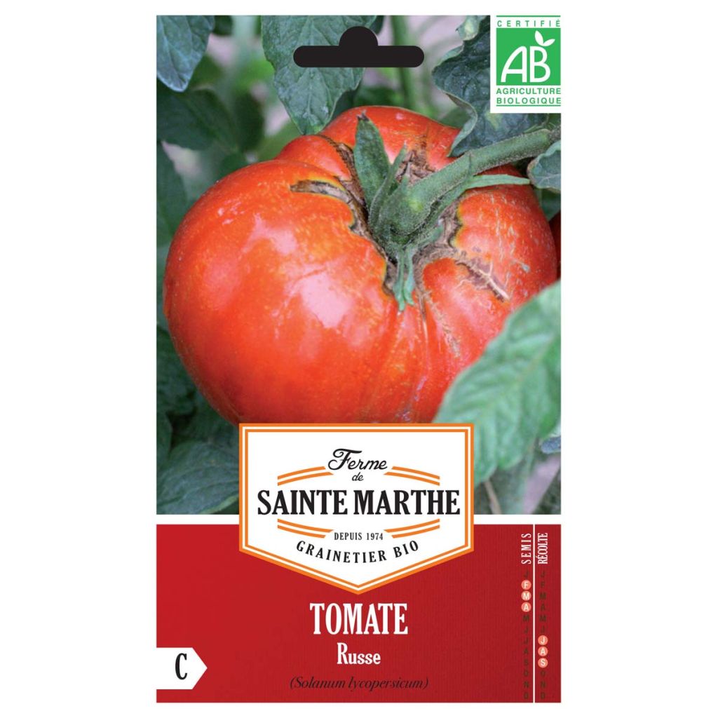 Tomate Russe AB - Ferme de Ste Marthe