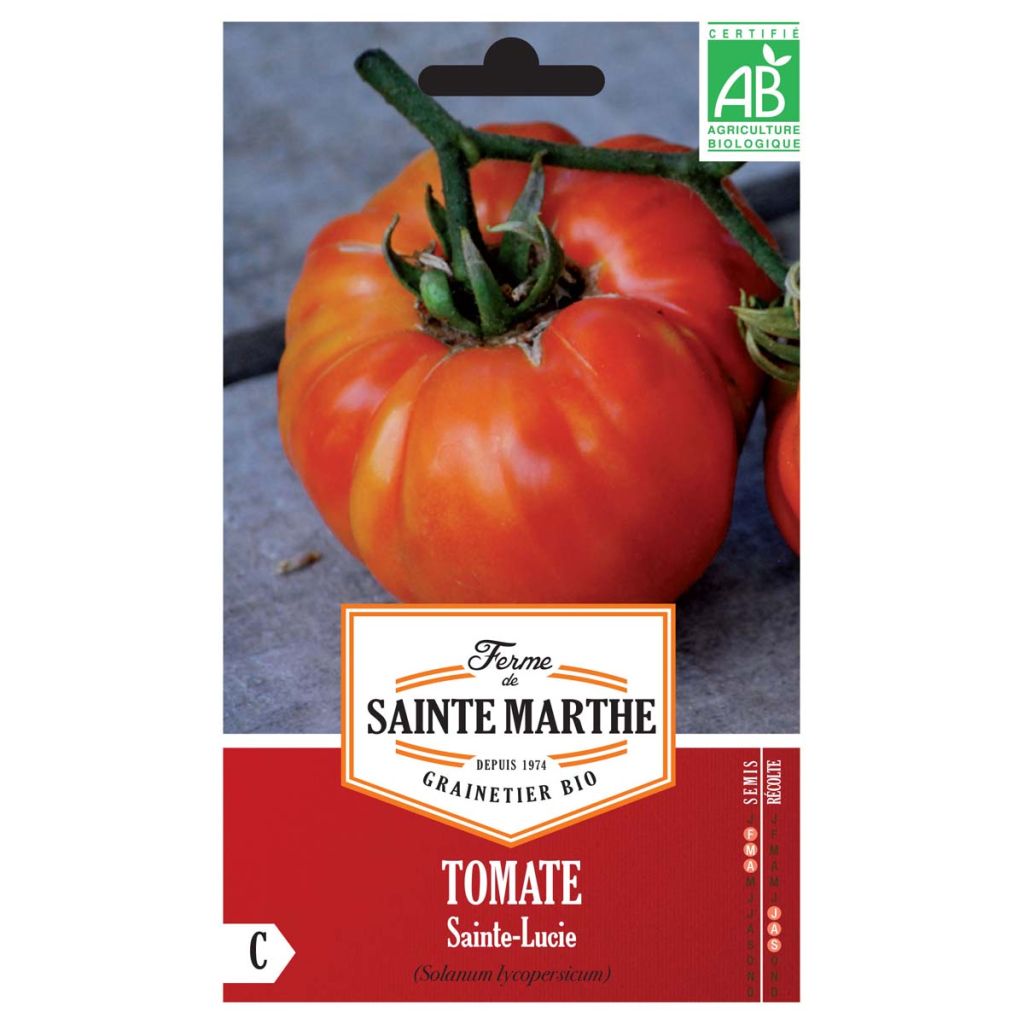 Tomate Sainte Lucie Bio