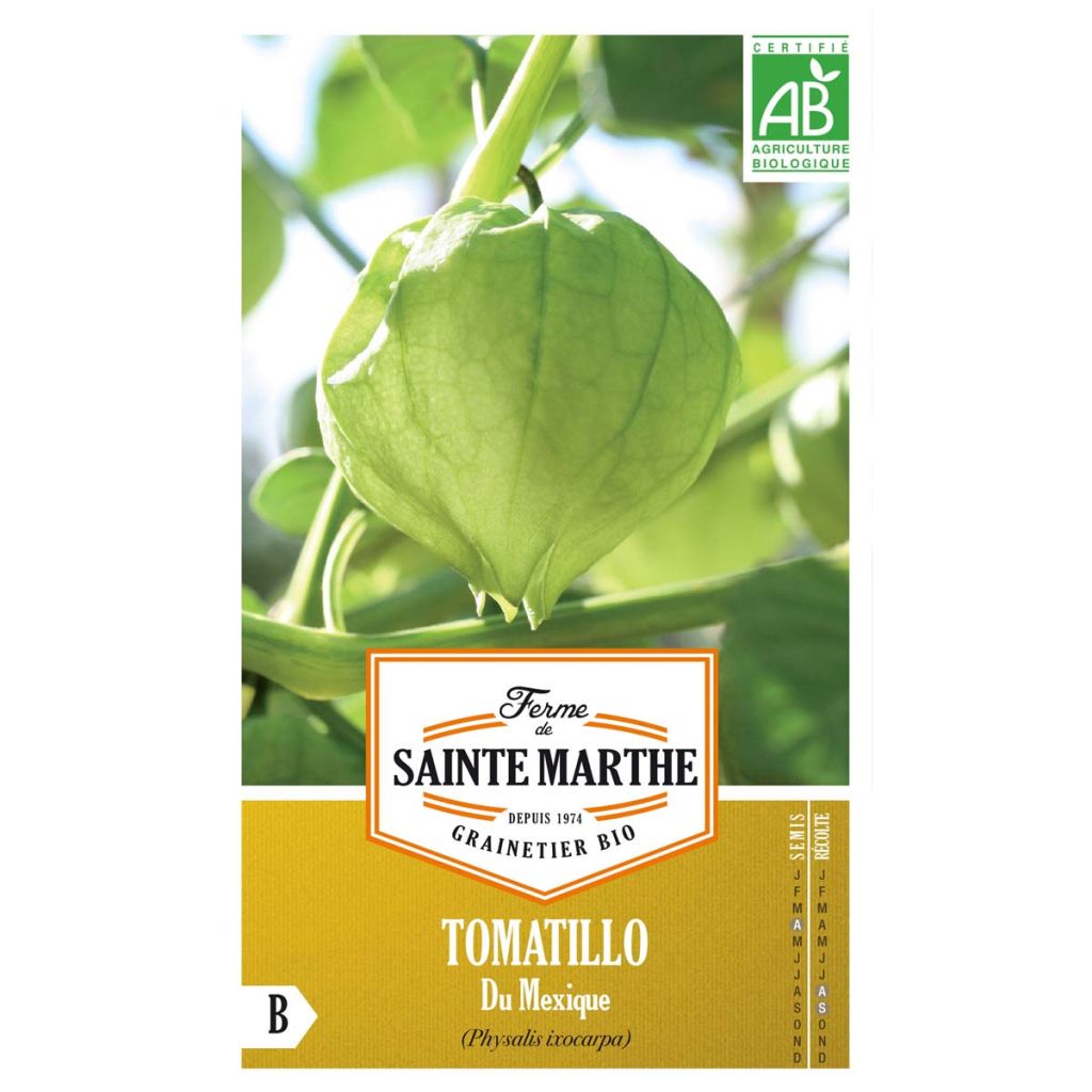 Tomatillo du Mexique AB - Ferme de Ste Marthe