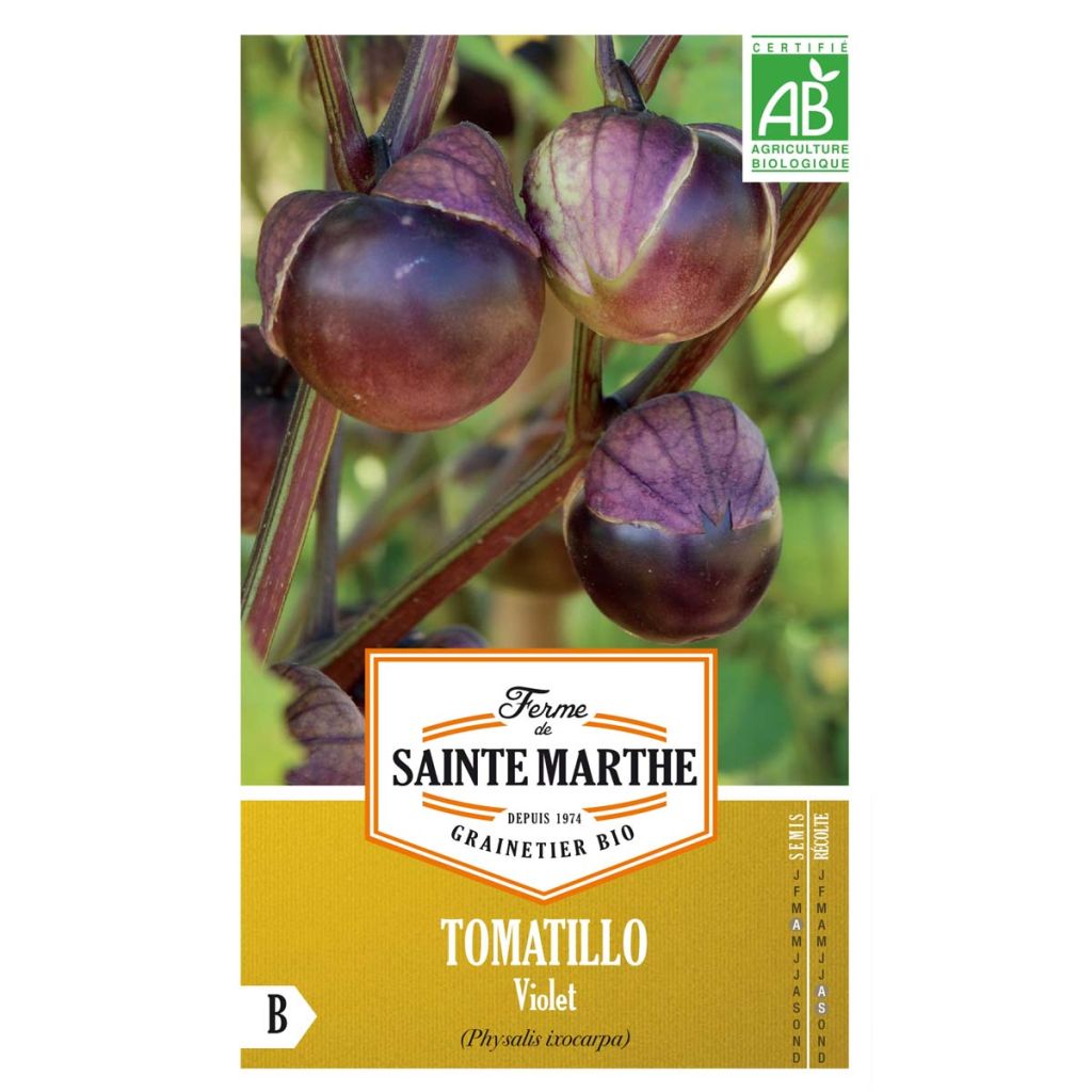 Tomatillo Violet AB - Ferme de Ste Marthe