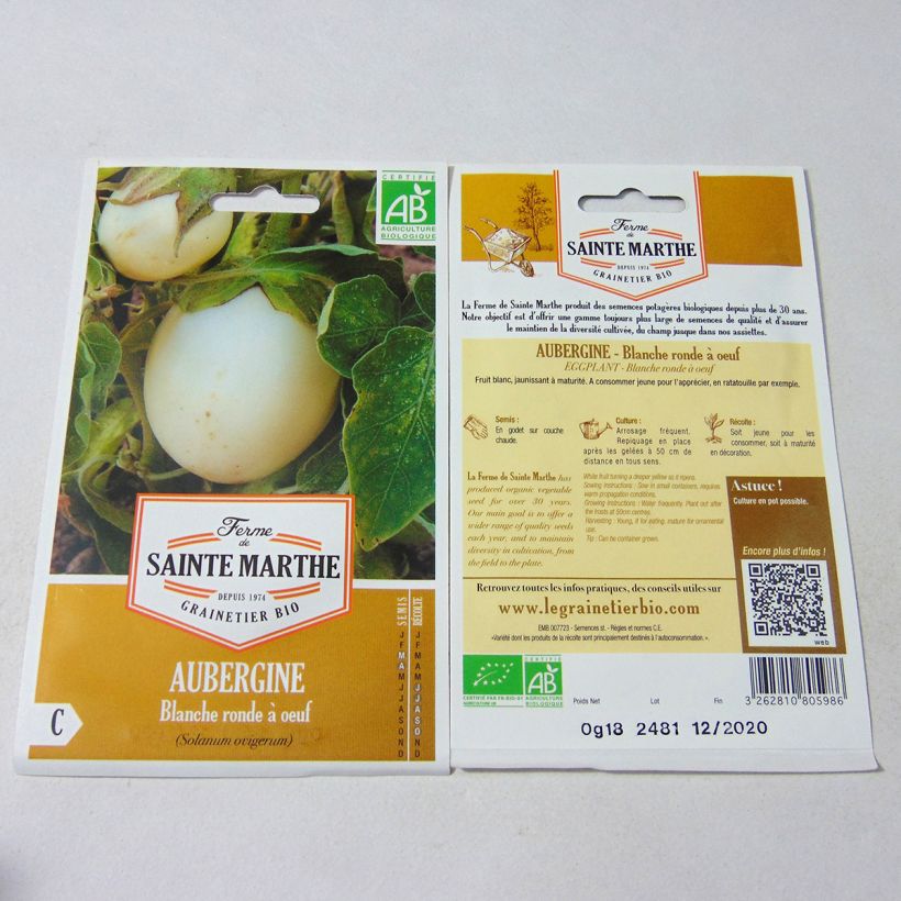 Beispiel eines Exemplars von Aubergine Blanche Ronde à Oeuf - Bio - Ferme de Sainte Marthe Graines wie geliefert