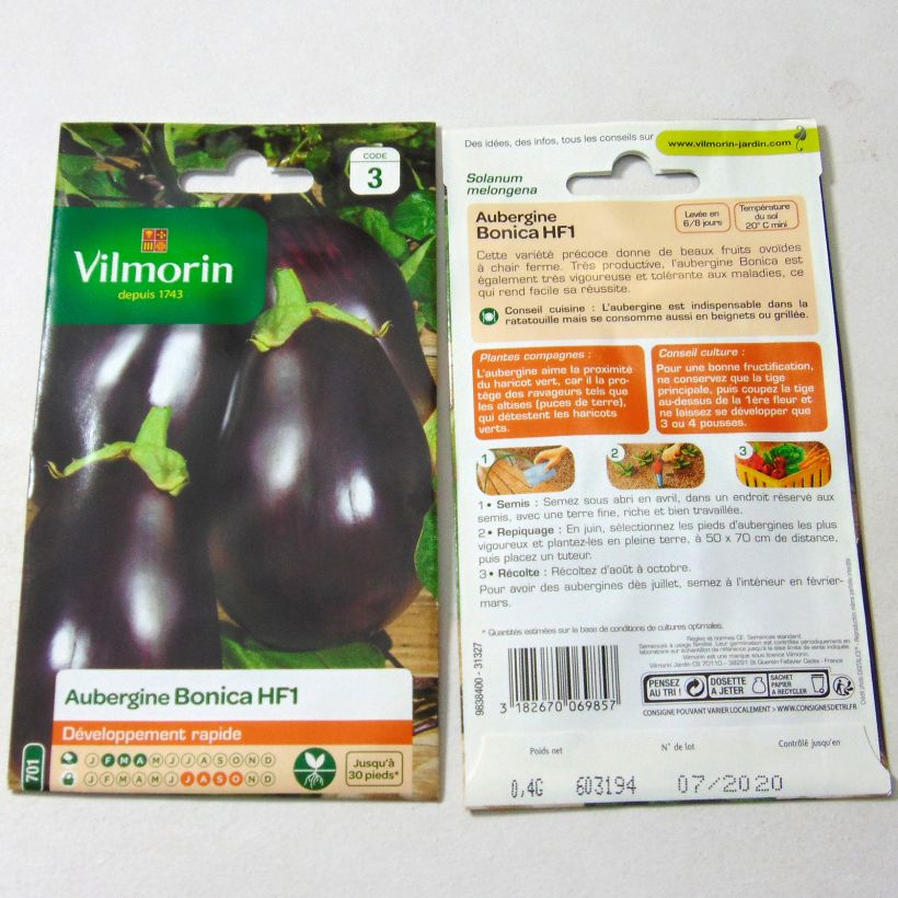 Beispiel eines Exemplars von Aubergine Bonica F1 - Vilmorin wie geliefert