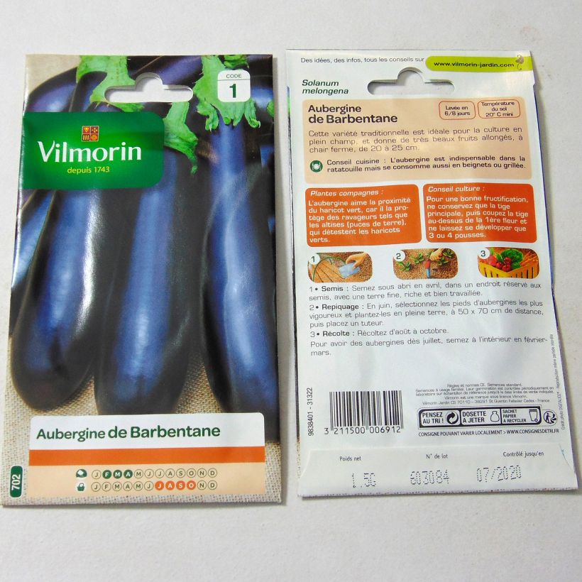 Beispiel eines Exemplars von Aubergine Barbentane - Vilmorin wie geliefert