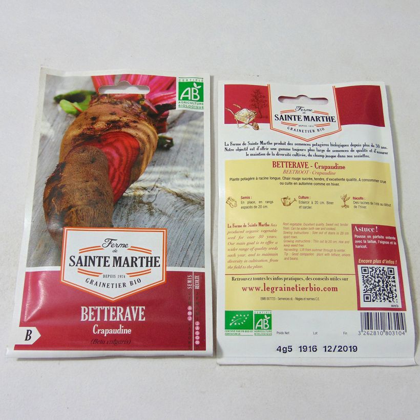 Beispiel eines Exemplars von Betterave Crapaudine Bio - Ferme de Sainte Marthe Graines wie geliefert