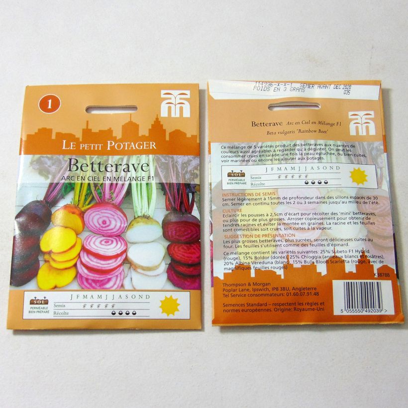 Beispiel eines Exemplars von Betterave Rainbow Beet Graines wie geliefert