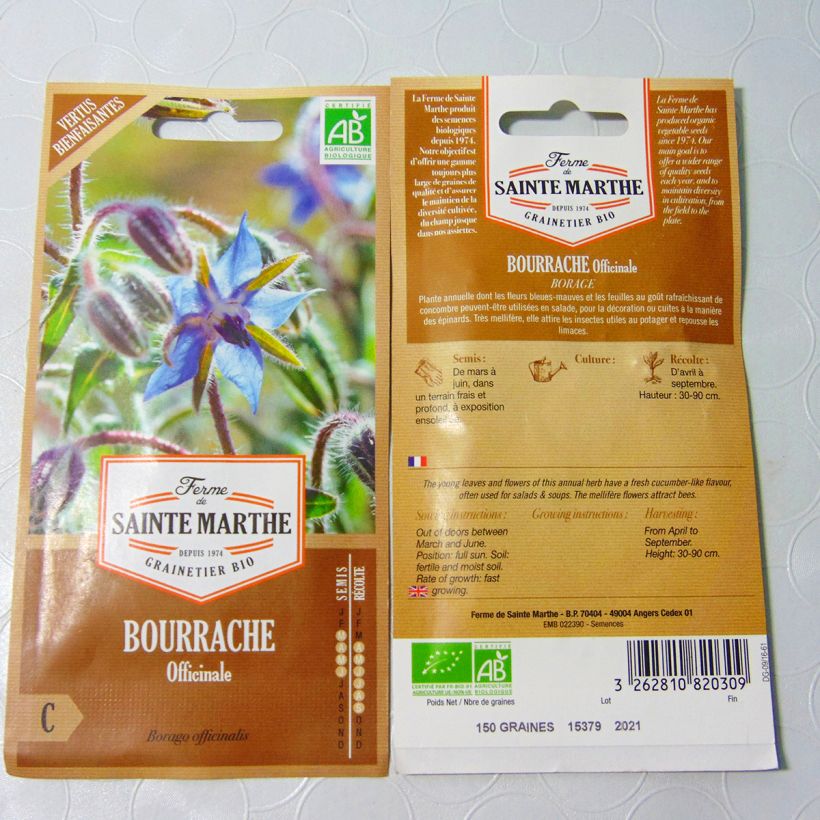 Beispiel eines Exemplars von Borretsch Bio - Ferme de Ste Marthe - Borago officinalis wie geliefert