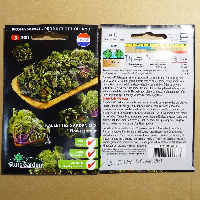 Beispiel eines Exemplars von Rosenkohl Kalettes Flower Sprout - Kalettes Garden Mix wie geliefert