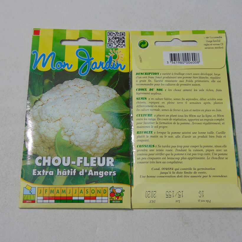 Beispiel eines Exemplars von Chou-fleur Extra-Hâtif d'Angers - Brassica oleracea Graines wie geliefert