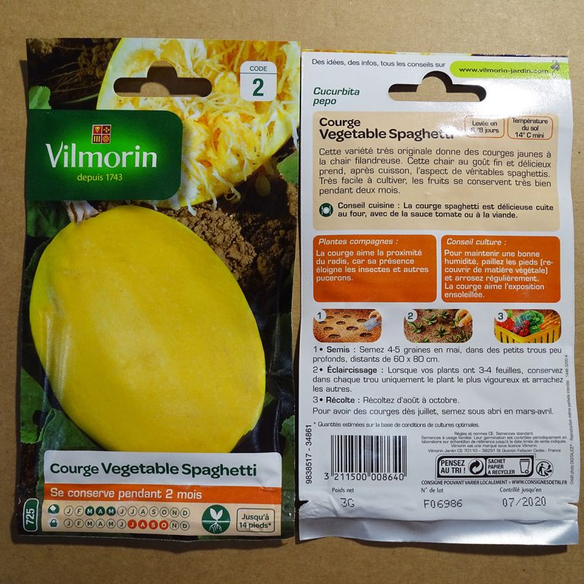 Beispiel eines Exemplars von Courge Spaghetti végétal - Vilmorin Graines wie geliefert