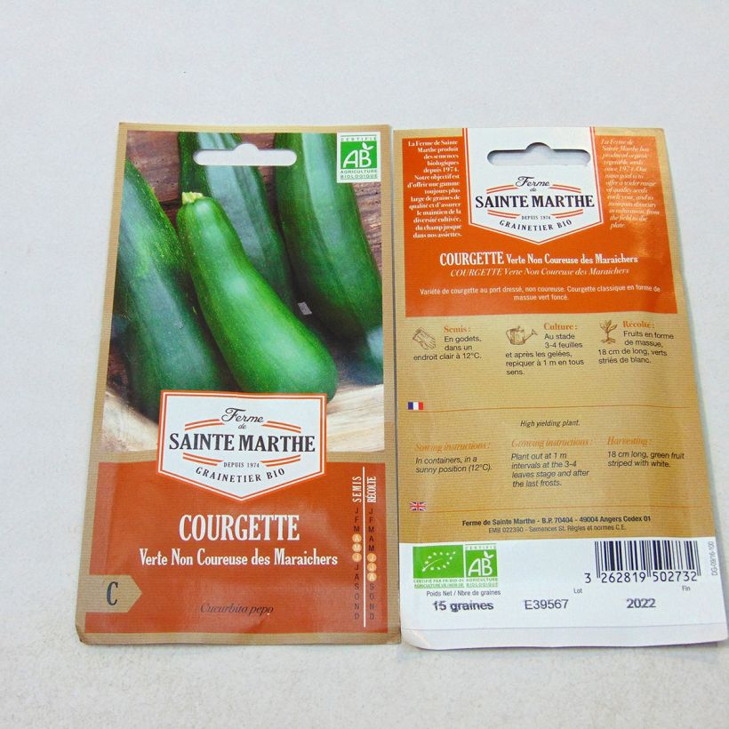 Beispiel eines Exemplars von Courgette Verte non coureuse des maraîchers Bio - Ferme de Sainte Marthe Graines wie geliefert