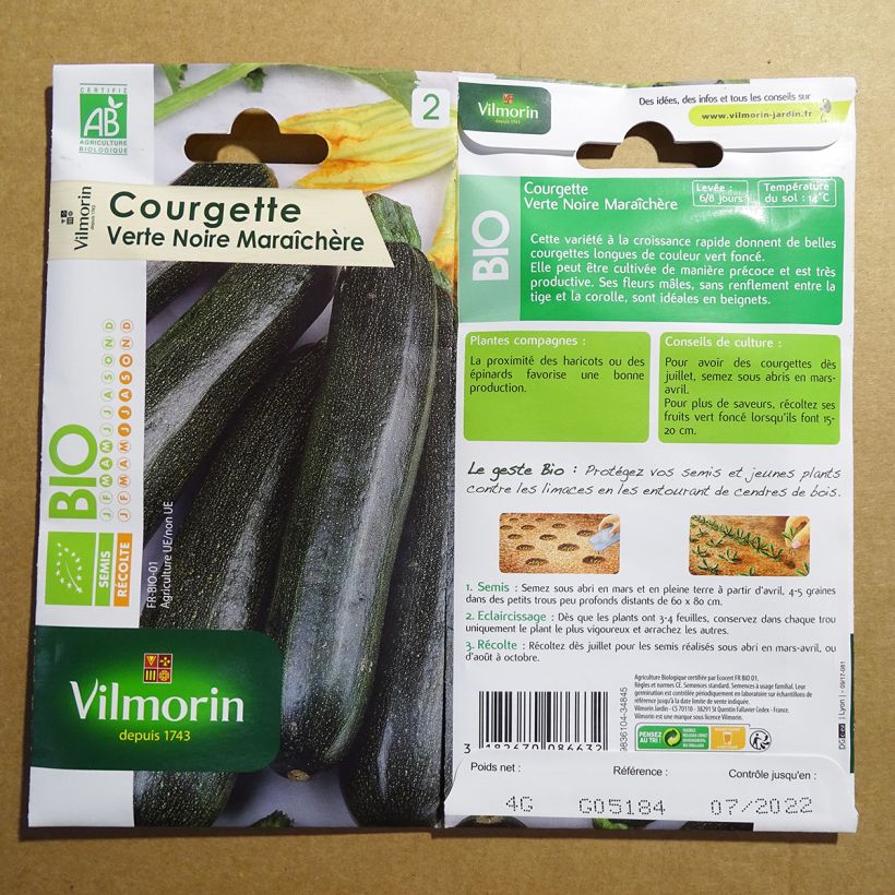 Beispiel eines Exemplars von Courgette verte noire maraîchère Bio - Vilmorin Graines wie geliefert