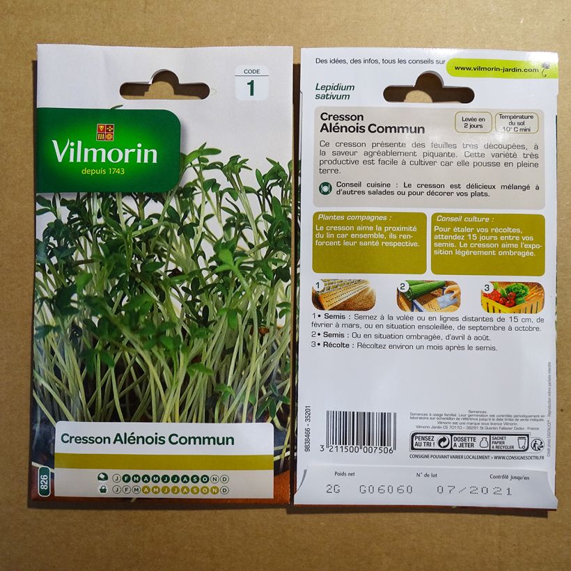 Beispiel eines Exemplars von Garten-Kresse - Vilmorin - Lepidium sativum wie geliefert