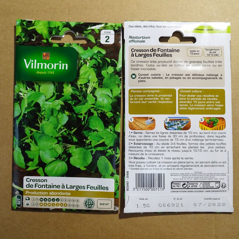 Beispiel eines Exemplars von Cresson de Fontaine à larges feuilles - Vilmorin Graines wie geliefert