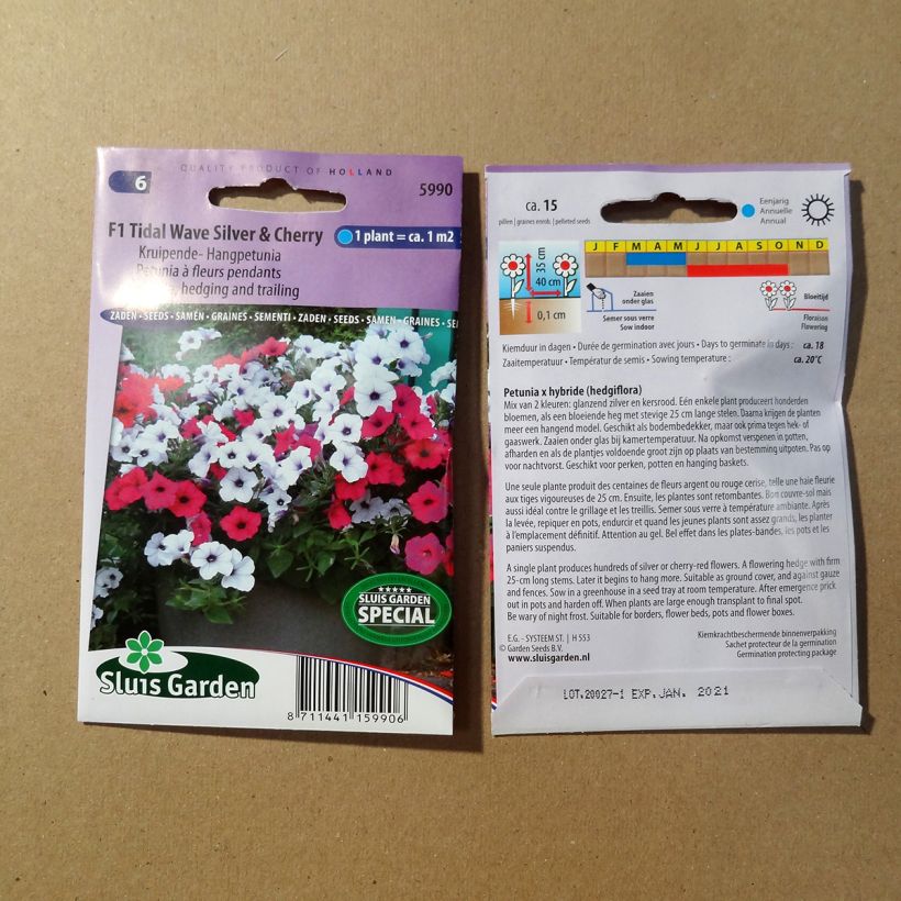 Beispiel eines Exemplars von Petunia F1 Tidal Wave Silver & Cherry Red (Samen) wie geliefert