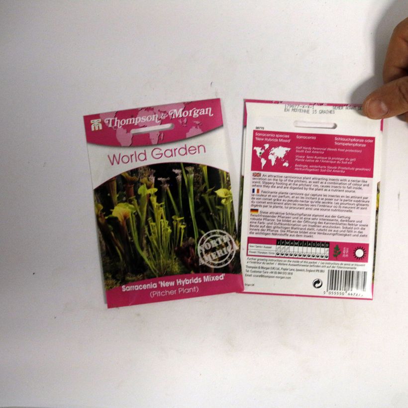 Beispiel eines Exemplars von Graines de Sarracenia New Hybrids en mélange - Attrape-Mouches de Vénus  Graines wie geliefert