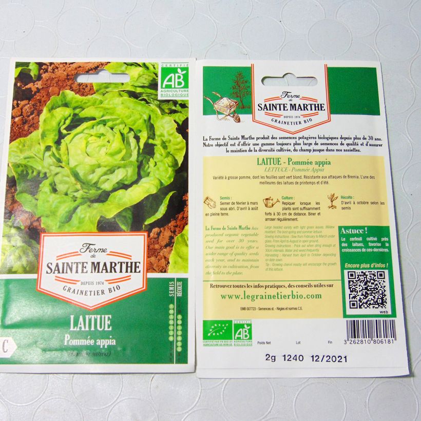 Beispiel eines Exemplars von Kopfsalat Appia Bio - Ferme de Sainte Marthe die Tüte mit 500 Samen (2g) wie geliefert