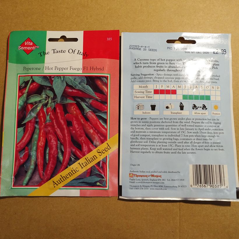 Beispiel eines Exemplars von Piment Fuego F1 - Capsicum annuum Graines wie geliefert