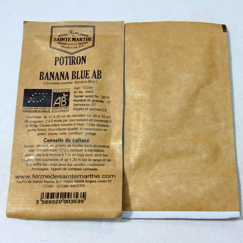 Beispiel eines Exemplars von Potiron Banana Blue Bio - Ferme de Sainte Marthe Graines wie geliefert