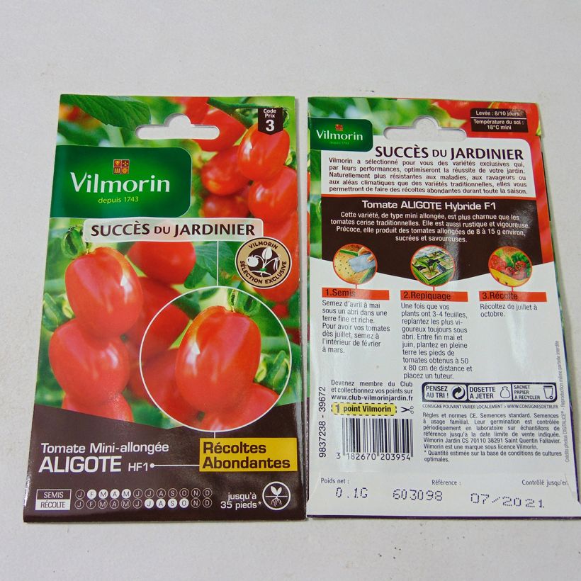 Beispiel eines Exemplars von Tomate Aligote F1 - Vilmorin  Graines wie geliefert