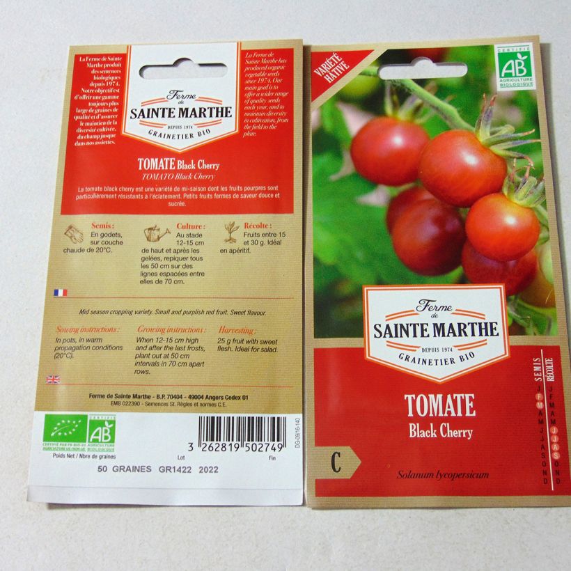 Beispiel eines Exemplars von Tomate Black Cherry Bio - Tomate cerise Noire - Ferme de Sainte Marthe wie geliefert