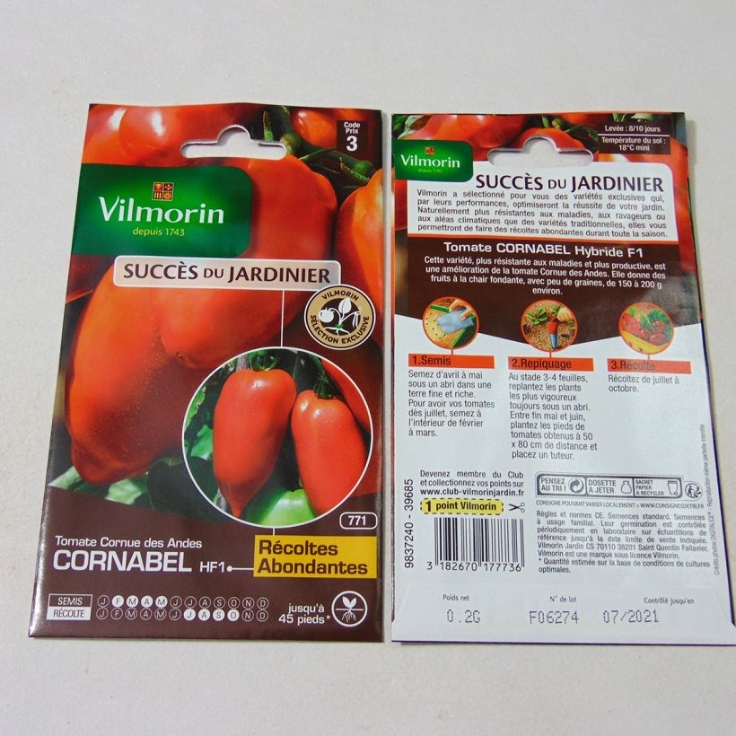 Beispiel eines Exemplars von Tomate Cornabel - Vilmorin wie geliefert