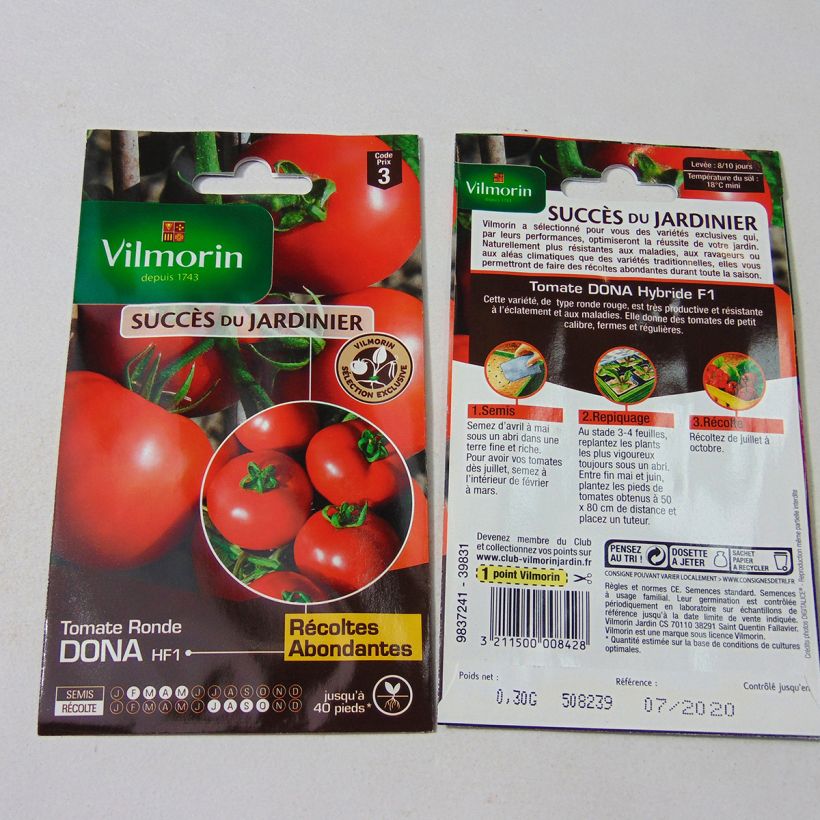 Beispiel eines Exemplars von Tomate Dona F1 (Création Vilmorin) - Vilmorin Graines wie geliefert