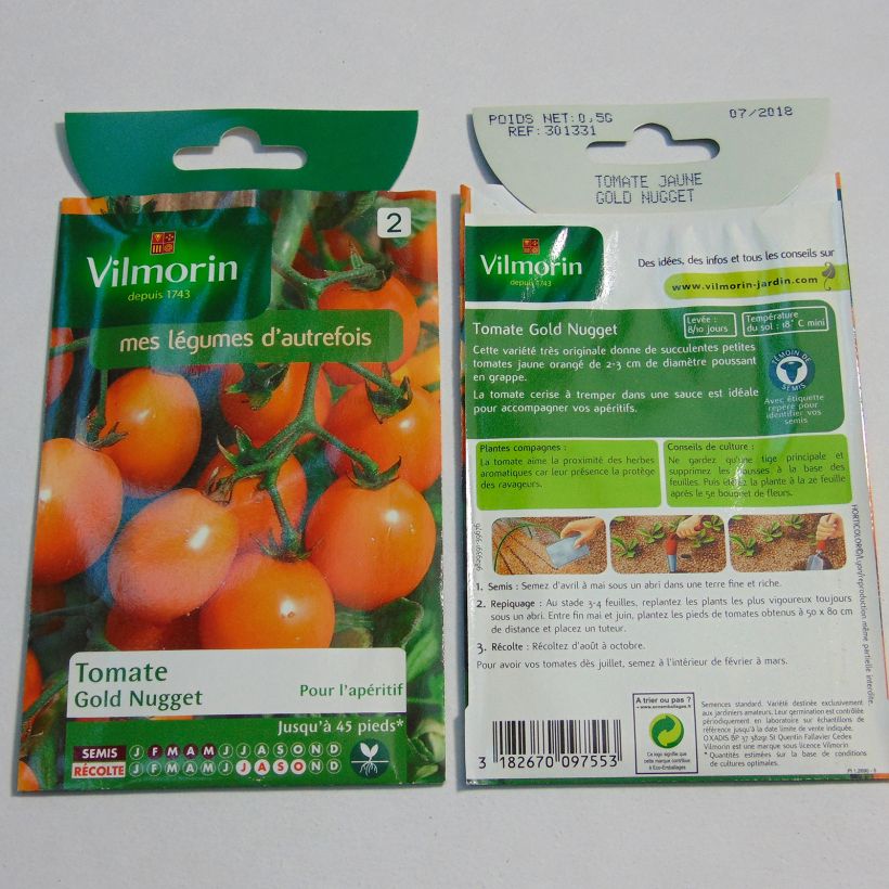 Beispiel eines Exemplars von Tomate Gold Nugget - Vilmorin wie geliefert