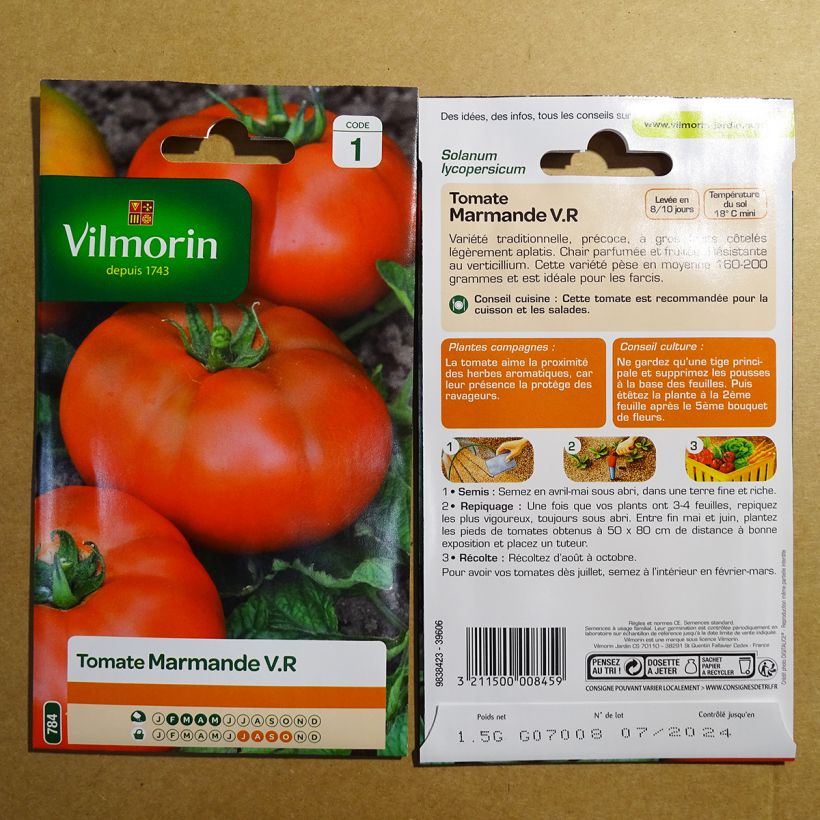 Beispiel eines Exemplars von Tomate Marmande - Vilmorin wie geliefert